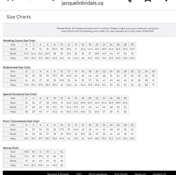 Size 10 white tulle full Aline bridal gown with silver trim. NWT - Picture 5 of 16